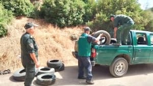Evening Campaign Targets Forest Tires