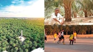 Evening Diaries in the Desert Climate