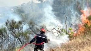Evening - Payouts for July and August fire victims