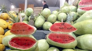 Evening: Marketed red watermelon does not pose health risks to consumers