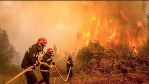Evening — 20,000 staff to combat Lava Flames nationwide