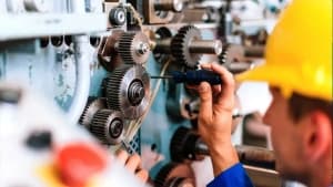 Training aligns with economic needs