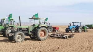 Evening – Increasing grain fields to 74,000 hectares