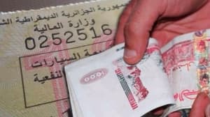 المركبات المستثناة من القسيمة