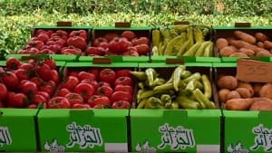 المساء تتعاون مع الاتحاد الأوروبي لتحسين جودة القطاع الزراعي