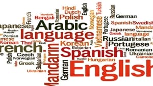Upcoming National Language Teaching Conference Scheduled for November