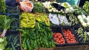 المساء لا ضرائب على الفلاحين وعدم التسامح مع المضاربين