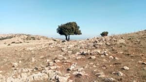 Ibn Ziyad area residents raise concerns over popular site