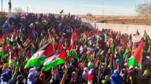 رفض صحراوي لمصادرة المصير