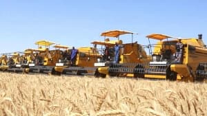 Evening: 60% Harvest and Study Rate in Ain Temouchent