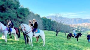 Tipaza farms blend fun and learning