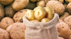 Evening Update: Potatoes at 90 Dinars and Price Drop in Some Items