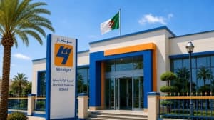 Sonelgaz reports 230 network violations