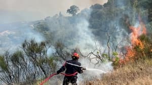 Evening – Fire damage compensation ongoing