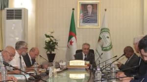 Electoral Authority oversees candidacy rules