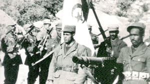 الشعب حاضن الجزائر الحرة
