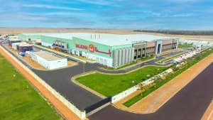 Algeria First Cattle Arrival in November