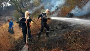 Evening Update on Wildfire Control