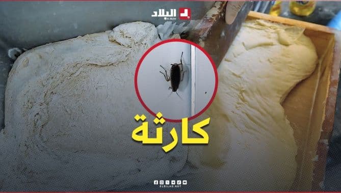 مخبزة في وضع كارثي وسوء نظافة