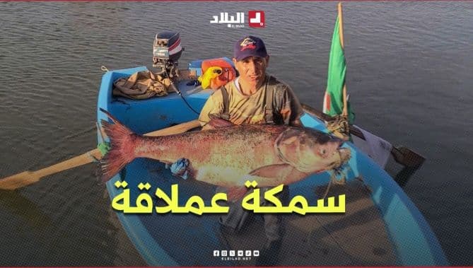 Fisherman catches 45kg fish in Oum El Bouaghi