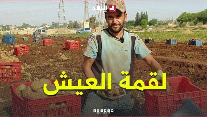 رشيد يكافح الحر لكرامته