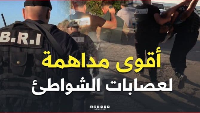 مداهمة أمنية في تيبازة تطيح بعصابات الشوارع
