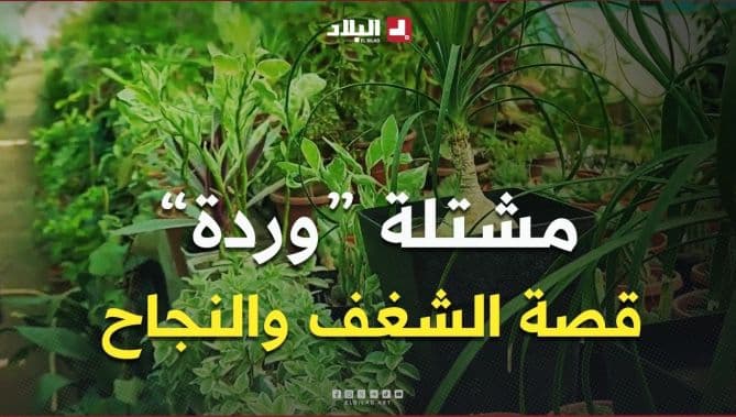 Tartous Wardah Nursery at Bird Lake