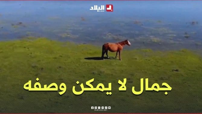 Al-Balad explores Tounqa nature reserve