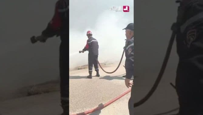 فيديو: جهود عناصر الحماية المدنية لإخماد حريق غابة بقلعة بوصبع جبل هوارة في قالمة