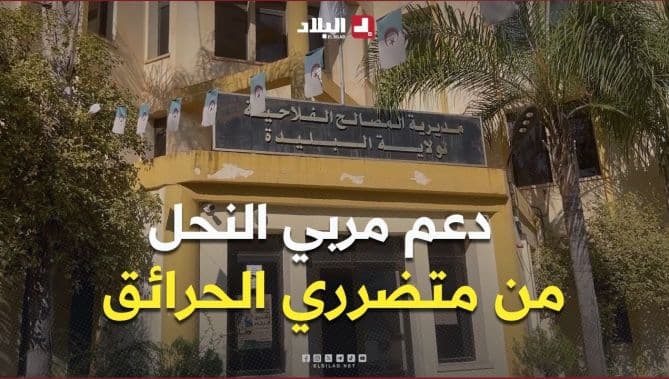 Blida: Beekeepers aided to restart work