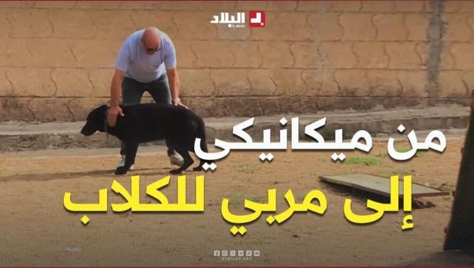 تيزي وزو: حسين يحتفي بتدريب الكلاب