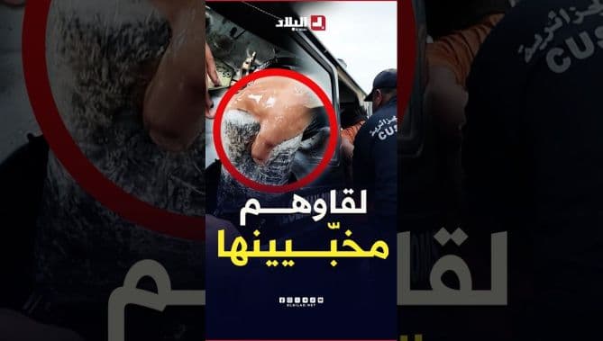 كيفية القبض على مهربي الكوكايين