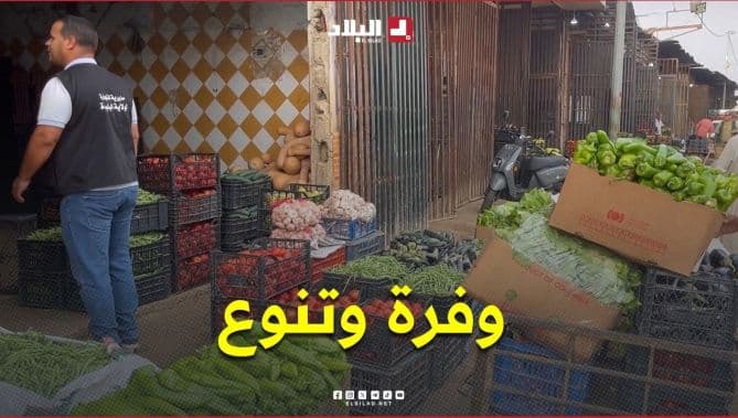 Bougara Market in Blida Shows Stable Prices