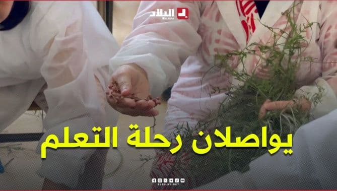 صليحة وعبد الحميد يواصلان التعلم