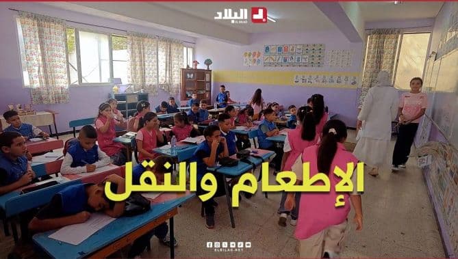 الإطعام والنقل لضمان تعليم مريح