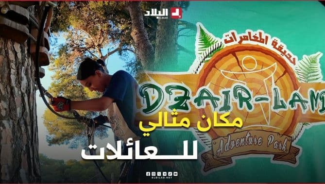 Dzayer Land: Nature's Relaxation Spot