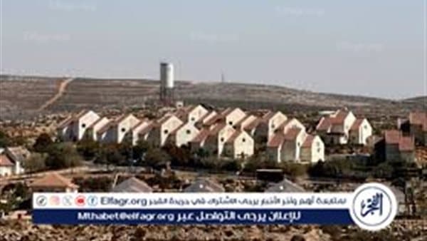 مصر ترحب بقرار بريطانيا بشأن المستوطنات