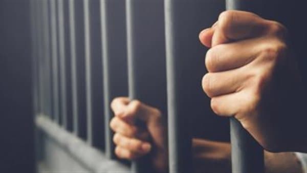 15 Years for Kidnapping and Abuse in Qalyub