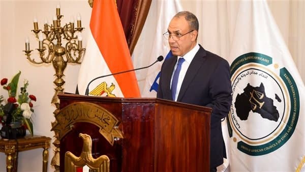 مصر تدعم الجزائر في مواجهة حرائق الغابات