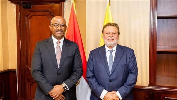 Egypt and Eswatini Central Bank Chiefs Discuss Cooperation
