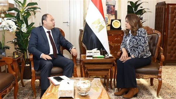 Local minister reviews Upper Egypt projects