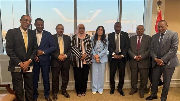 Aswan deputies review infrastructure plans