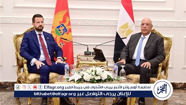Hisham Badi Meets Montenegrin President