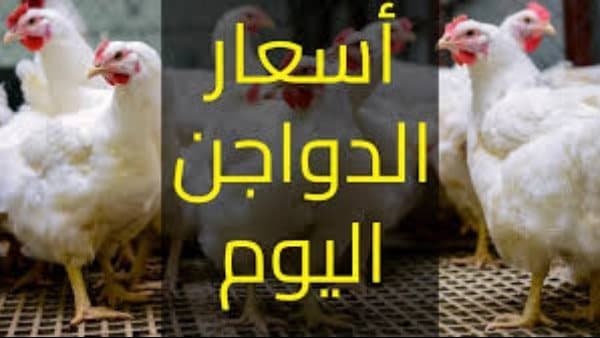 Wednesday Poultry Market Prices