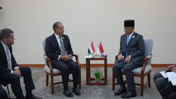 Foreign Minister holds talks with Indonesia