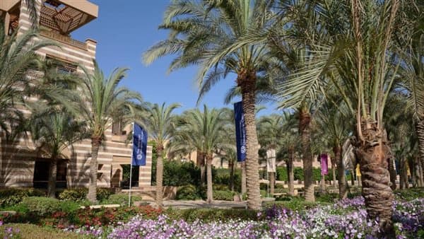 جامعة القاهرة تطلق برنامج «مساري» لدعم الطلاب ذوي الاختلافات النمائية