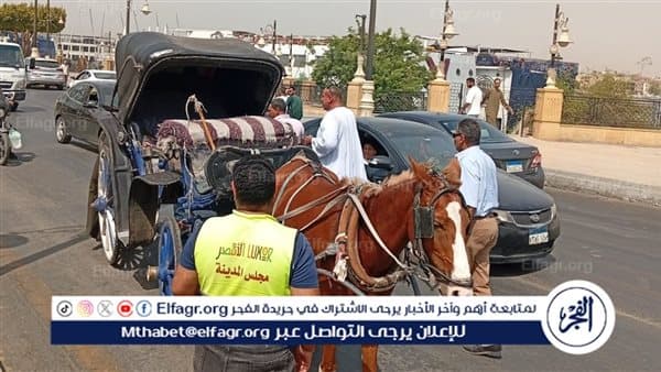 Luxor Nile Corniche carts violating rules