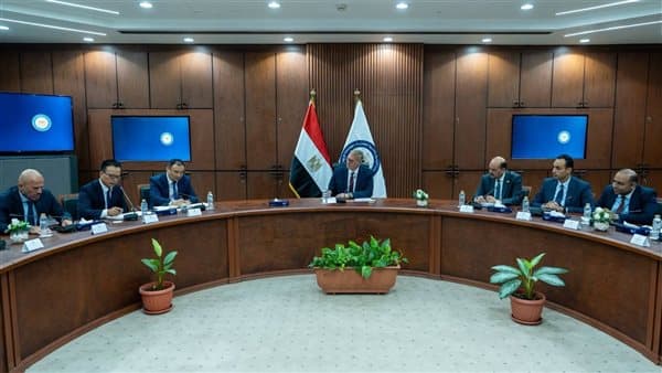 مصر والصين تعززان مشاريع البتروكيماويات