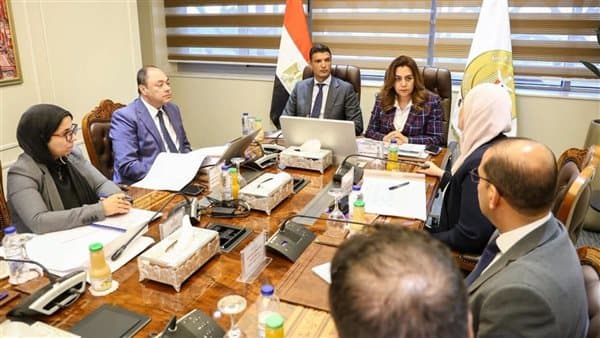 Development and Industry Ministers Discuss Upper Egypt Projects