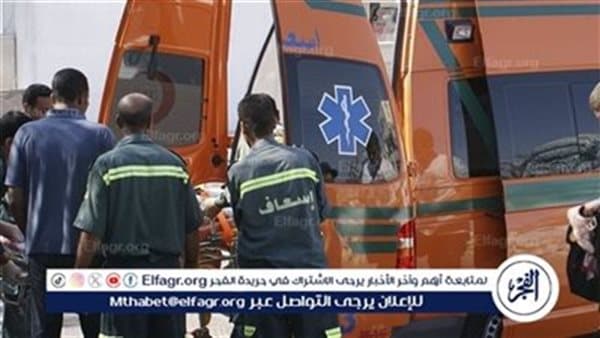 Minya car rollover injures girl, kills one